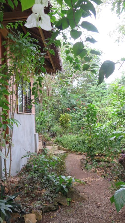 Lazy Lizard Hostel Siquijor Exteriör bild