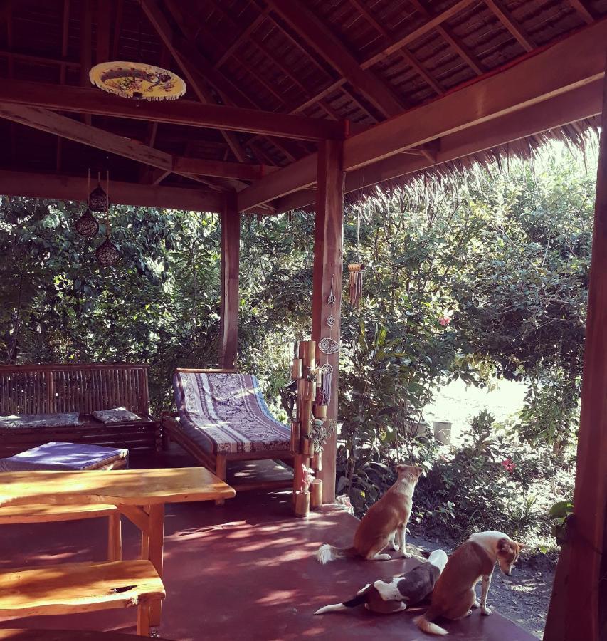 Lazy Lizard Hostel Siquijor Exteriör bild