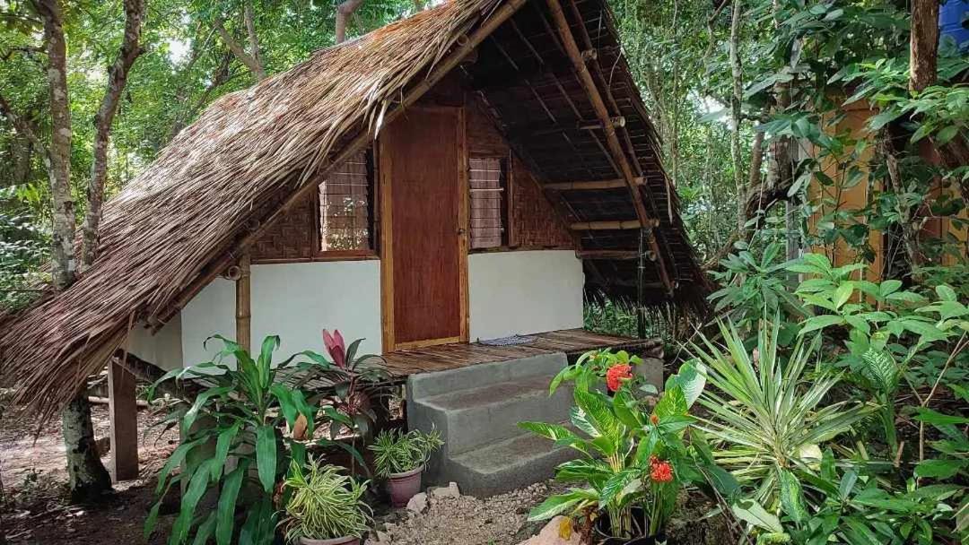 Lazy Lizard Hostel Siquijor Exteriör bild