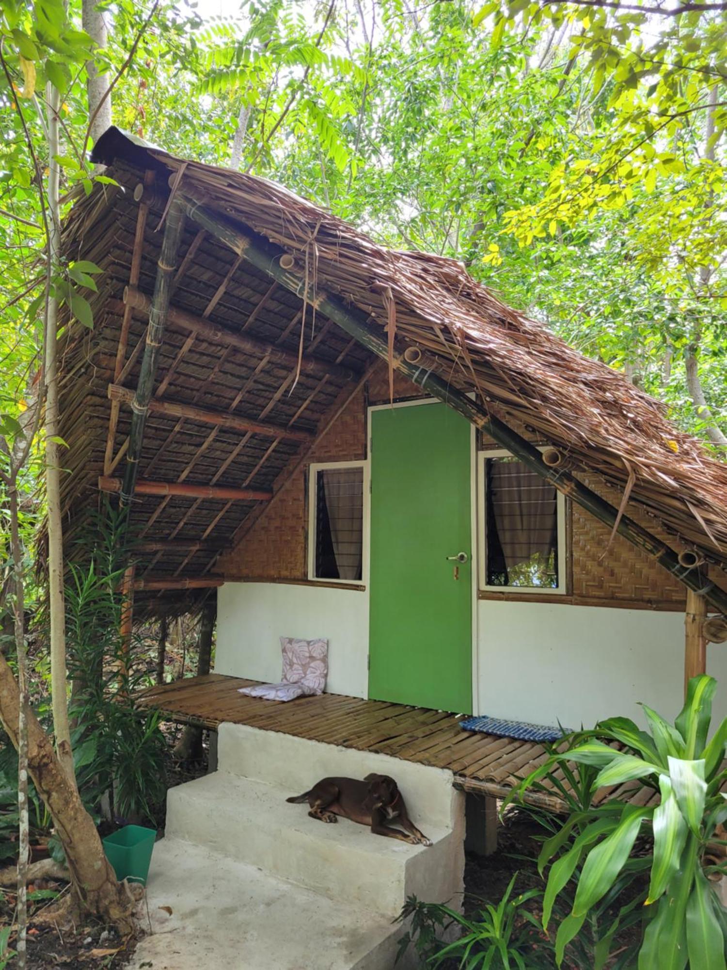 Lazy Lizard Hostel Siquijor Rum bild